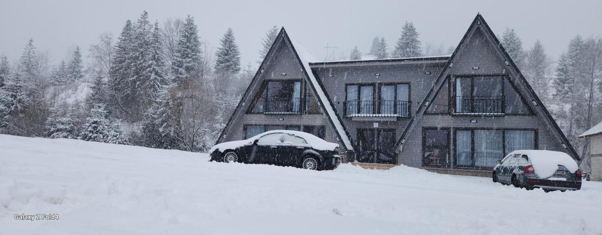 Cabana Din Vale Arieseni Apuseni ภายนอก รูปภาพ