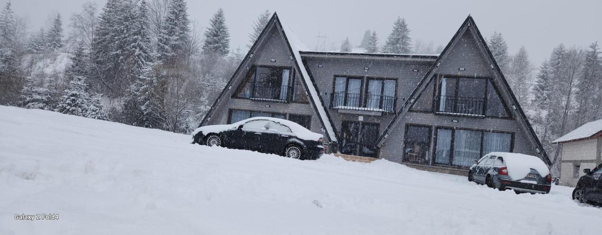 Cabana Din Vale Arieseni Apuseni ภายนอก รูปภาพ